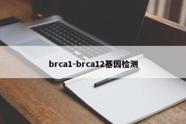 brca1-brca12基因检测